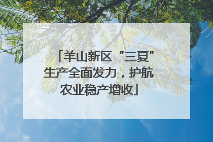 羊山新区“三夏”生产全面发力，护航农业稳产增收