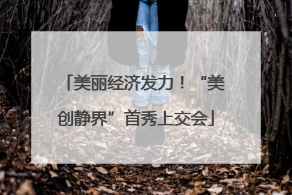 美丽经济发力！“美创静界”首秀上交会