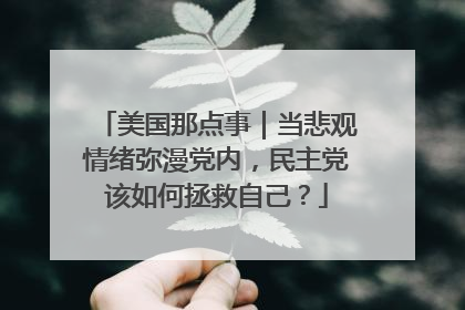 美国那点事｜当悲观情绪弥漫党内，民主党该如何拯救自己？