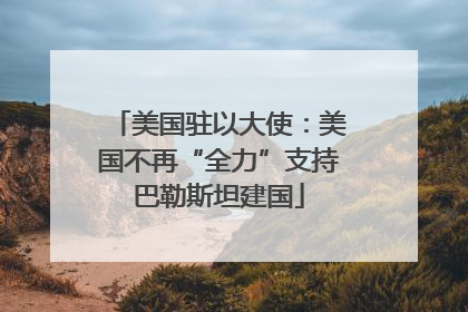 美国驻以大使：美国不再“全力”支持巴勒斯坦建国