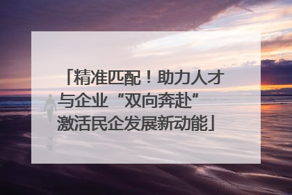 精准匹配！助力人才与企业“双向奔赴” 激活民企发展新动能