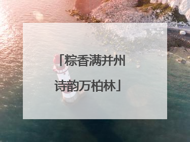 粽香满并州 诗韵万柏林