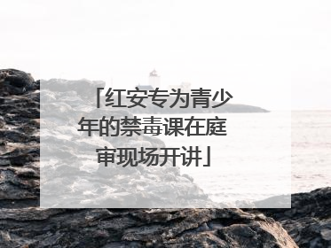 红安专为青少年的禁毒课在庭审现场开讲
