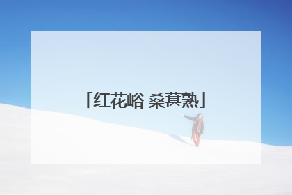 红花峪 桑葚熟