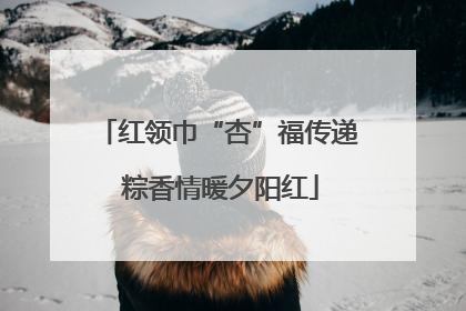 红领巾“杏”福传递 粽香情暖夕阳红