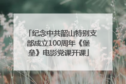 纪念中共韶山特别支部成立100周年《堡垒》电影党课开课
