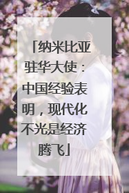纳米比亚驻华大使：中国经验表明，现代化不光是经济腾飞