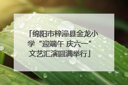 绵阳市梓潼县金龙小学“迎端午 庆六一”文艺汇演圆满举行