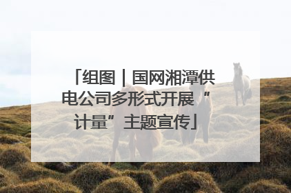 组图｜国网湘潭供电公司多形式开展“计量”主题宣传