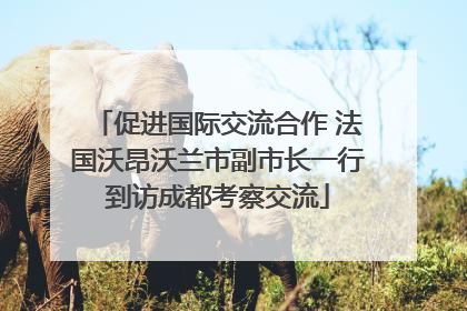 促进国际交流合作 法国沃昂沃兰市副市长一行到访成都考察交流