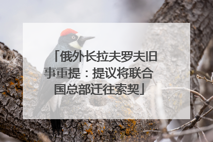 俄外长拉夫罗夫旧事重提：提议将联合国总部迁往索契
