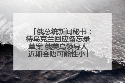 俄总统新闻秘书：待乌克兰回应备忘录草案 俄美乌领导人近期会晤可能性小