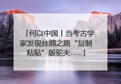 何以中国丨当考古学家发现丝绸之路“复制粘贴”版驼夫……
