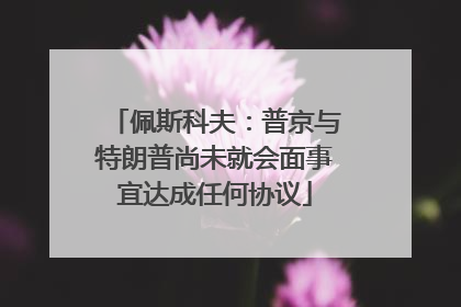 佩斯科夫：普京与特朗普尚未就会面事宜达成任何协议