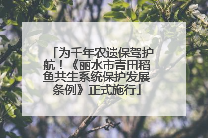 为千年农遗保驾护航！《丽水市青田稻鱼共生系统保护发展条例》正式施行