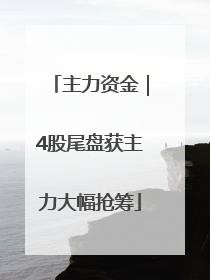 主力资金｜4股尾盘获主力大幅抢筹