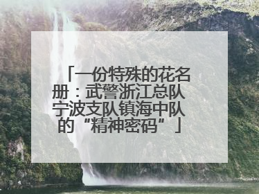 一份特殊的花名册：武警浙江总队宁波支队镇海中队的“精神密码”