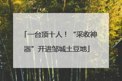 一台顶十人！“采收神器”开进邹城土豆地