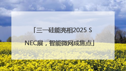 三一硅能亮相2025 SNEC展，智能微网成焦点
