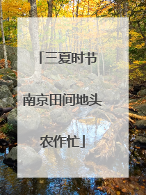 三夏时节 南京田间地头农作忙