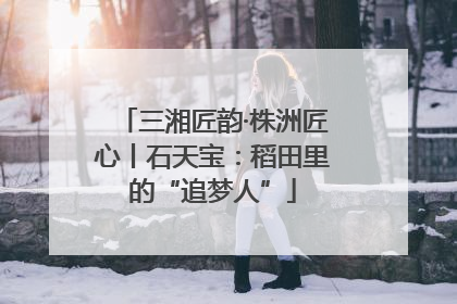 三湘匠韵·株洲匠心丨石天宝：稻田里的“追梦人”