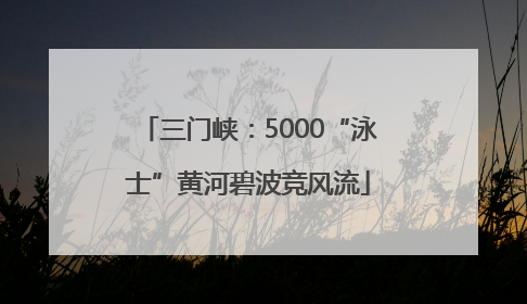 三门峡：5000“泳士”黄河碧波竞风流