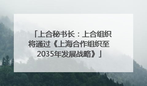 上合秘书长：上合组织将通过《上海合作组织至2035年发展战略》