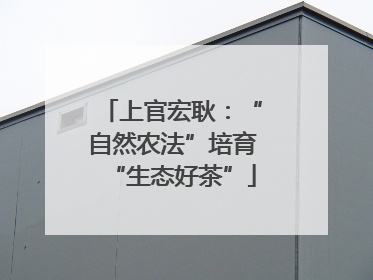 上官宏耿：“自然农法”培育“生态好茶”