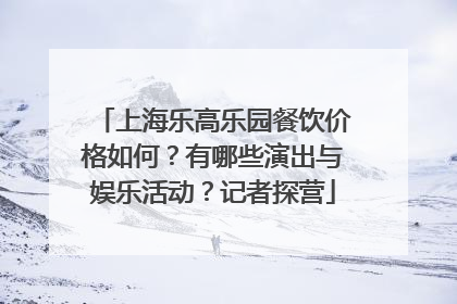 上海乐高乐园餐饮价格如何？有哪些演出与娱乐活动？记者探营