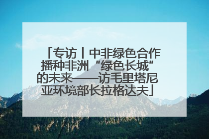 专访丨中非绿色合作播种非洲“绿色长城”的未来——访毛里塔尼亚环境部长拉格达夫
