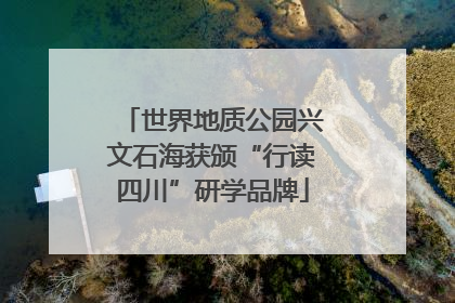 世界地质公园兴文石海获颁“行读四川”研学品牌