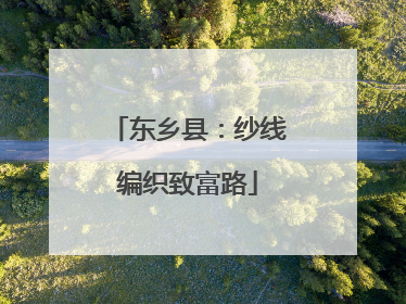 东乡县：纱线编织致富路