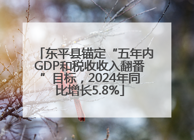 东平县锚定“五年内GDP和税收收入翻番”目标，2024年同比增长5.8%