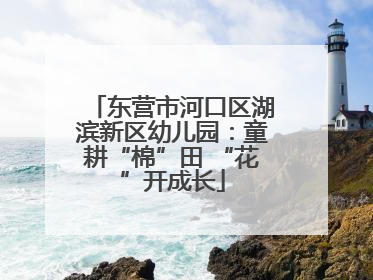 东营市河口区湖滨新区幼儿园：童耕“棉”田 “花”开成长