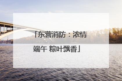 东营消防：浓情端午 粽叶飘香