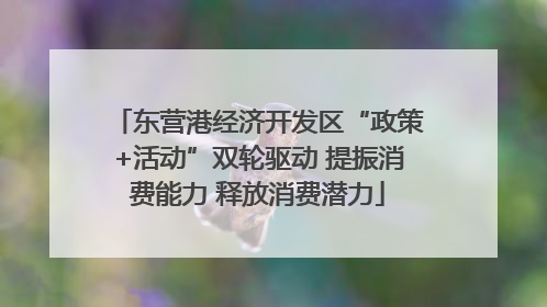 东营港经济开发区“政策+活动”双轮驱动 提振消费能力 释放消费潜力