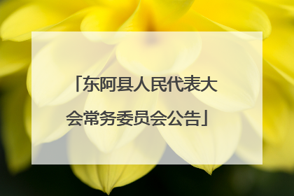 东阿县人民代表大会常务委员会公告