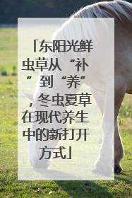 东阳光鲜虫草从“补”到“养”，冬虫夏草在现代养生中的新打开方式
