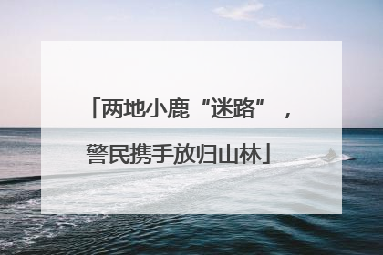 两地小鹿“迷路”，警民携手放归山林