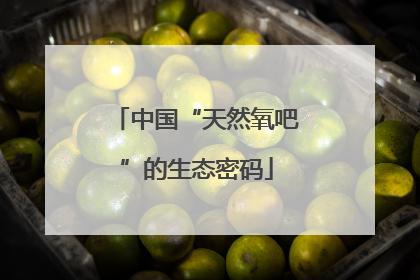 中国“天然氧吧”的生态密码