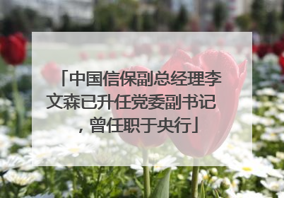 中国信保副总经理李文森已升任党委副书记，曾任职于央行