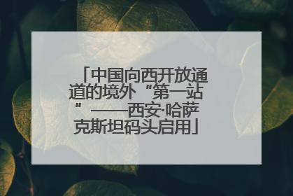 中国向西开放通道的境外“第一站”——西安·哈萨克斯坦码头启用