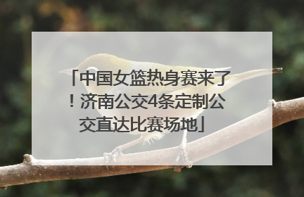 中国女篮热身赛来了！济南公交4条定制公交直达比赛场地