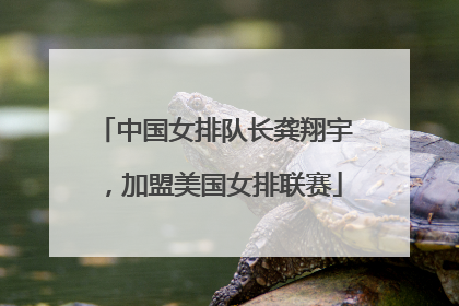 中国女排队长龚翔宇，加盟美国女排联赛