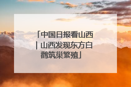 中国日报看山西｜山西发现东方白鹳筑巢繁殖