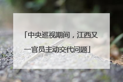中央巡视期间，江西又一官员主动交代问题