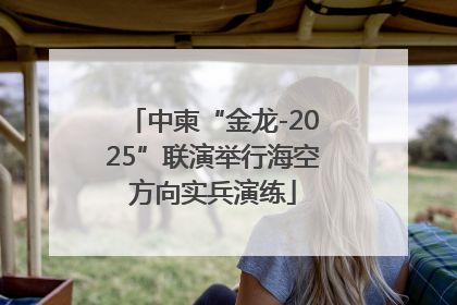 中柬“金龙-2025”联演举行海空方向实兵演练