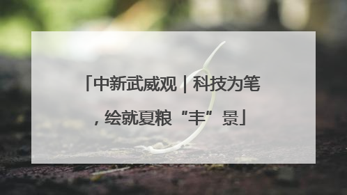 中新武威观｜科技为笔，绘就夏粮“丰”景