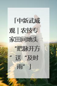 中新武威观｜农技专家田间地头“把脉开方”送“及时雨”