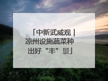 中新武威观｜凉州设施蔬菜种出好“丰”景